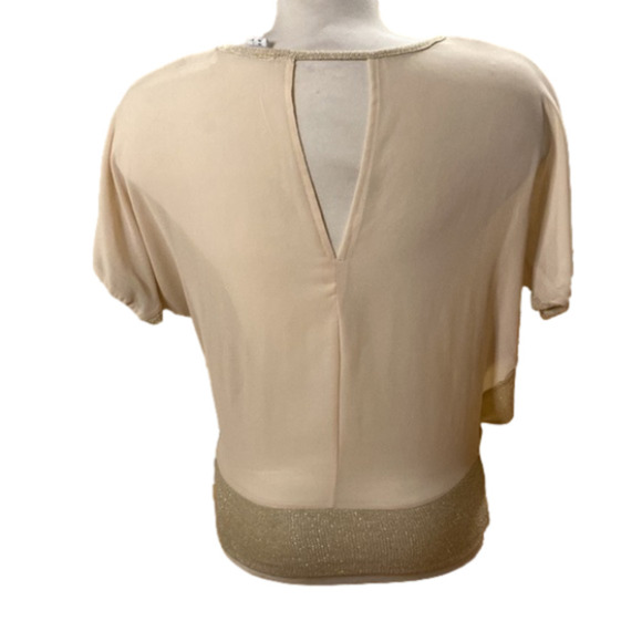 Streetwear Society Short Sleeved Sheer Paneled  Oatmeal Woman's Top (Size Small) - Picture 3 of 7